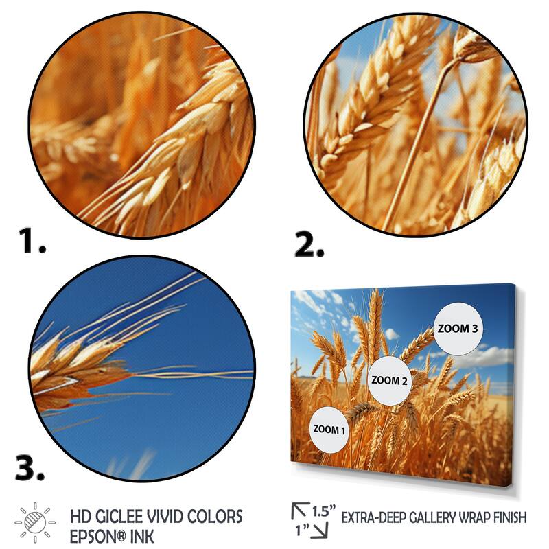 Designart "Canada Golden Harvest I" Farmhouse Wall Art Print Set On